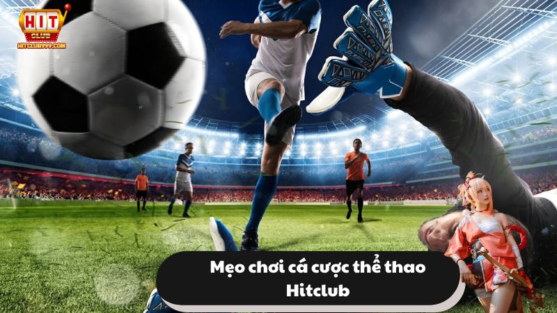 Mẹo chơi cá cược thể thao HitClub hiệu quả