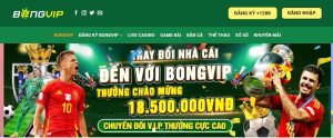 FAQ về nhà cái Bongvip